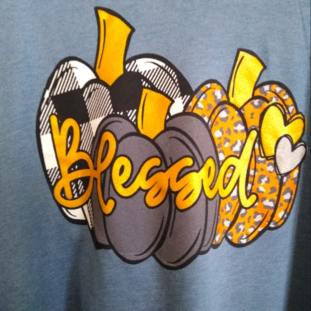 Woman's 2X blue blessed pumpkins t-shirt *NWOT*